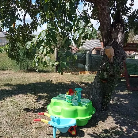 Zsoka Mama Kuckoja