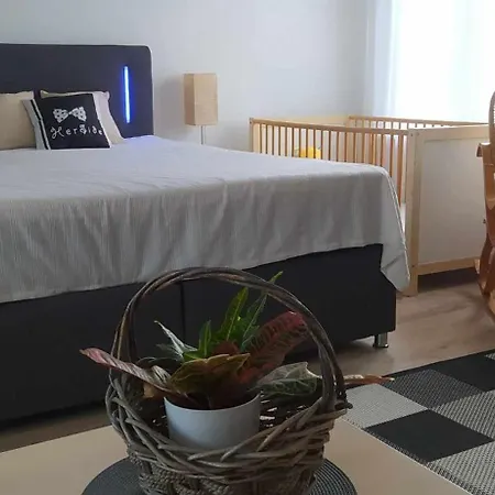 Zsoka Mama Kuckoja 2*